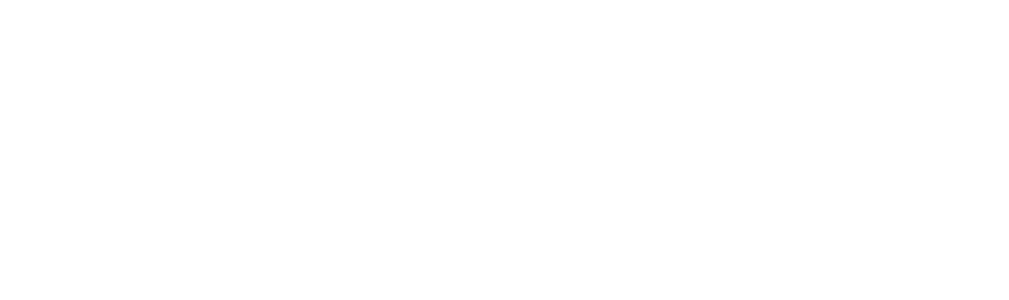Envision University Logo
